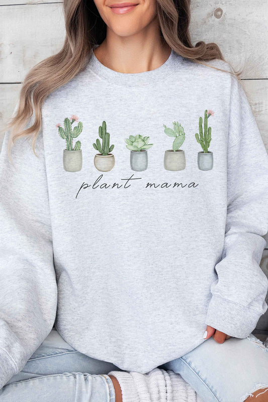 Coton ouaté - Plant mama